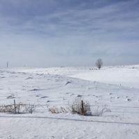 80  - Acres Wabasha county  MN images 2