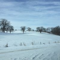 80  - Acres Wabasha county  MN images 4
