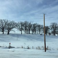 80  - Acres Wabasha county  MN images 3
