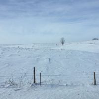 80  - Acres Wabasha county  MN images 6
