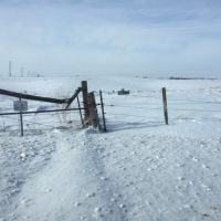 80  - Acres Wabasha county  MN images 5