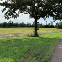 800 Acres in Lafayette County in Etta  MS images 4