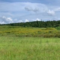 800 Acres in Lafayette County in Etta  MS images 6