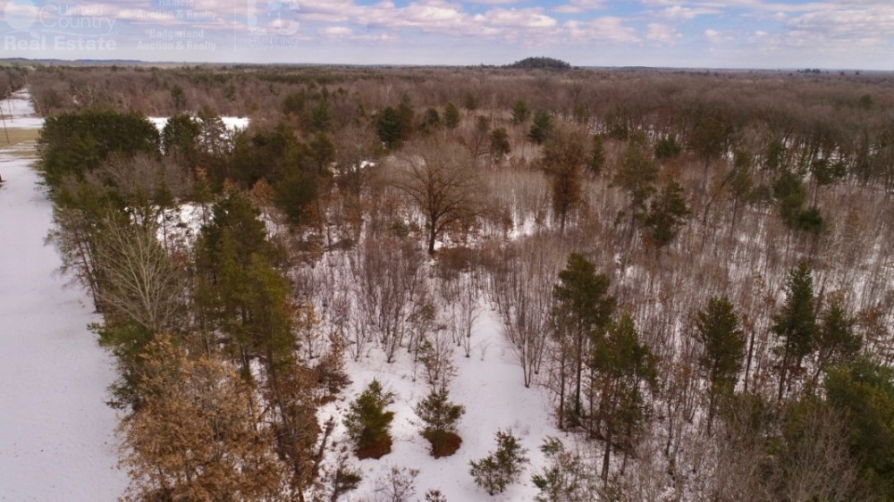 Charming Recreational Land For Sale in Adams County  Wisconsin featured image