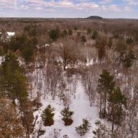 Charming Recreational Land For Sale in Adams County  Wisconsin
