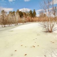 Charming Recreational Land For Sale in Adams County  Wisconsin images 4