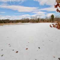 Charming Recreational Land For Sale in Adams County  Wisconsin images 6