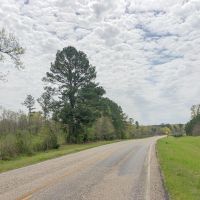 133 Acres &nbsp; Hwy 248 &nbsp; Maya 1019 West