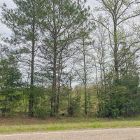 133 Acres &nbsp; Hwy 248 &nbsp; Maya 1019 West images 4