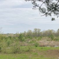133 Acres &nbsp; Hwy 248 &nbsp; Maya 1019 West images 5