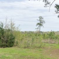 133 Acres &nbsp; Hwy 248 &nbsp; Maya 1019 West images 6