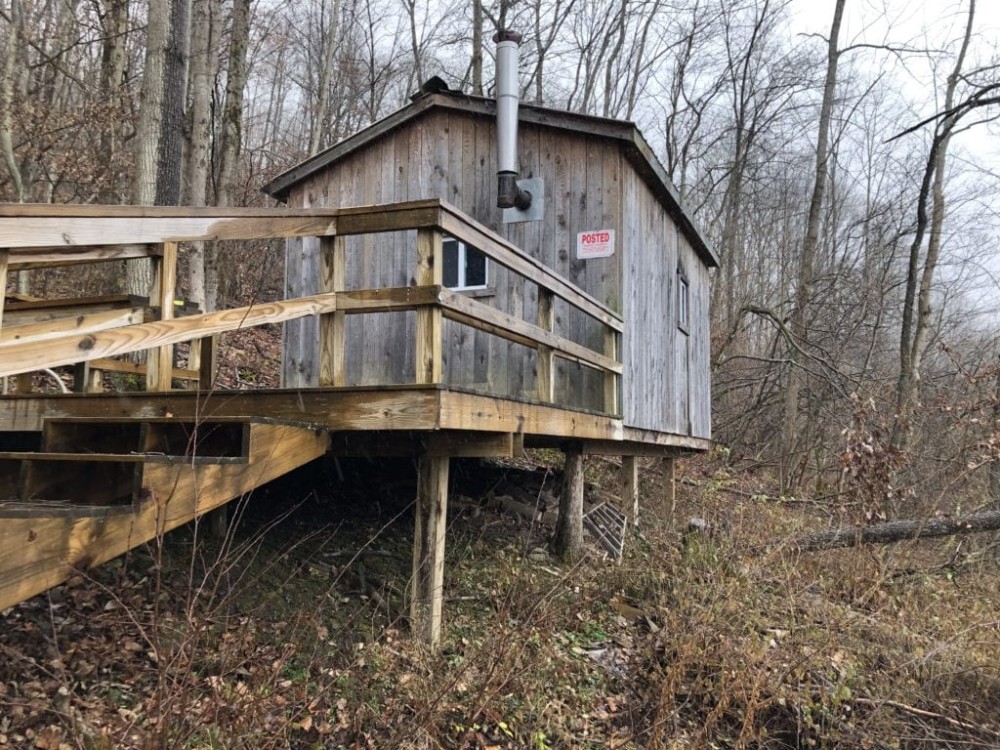 27 acres Hunting Land with Cabin and Pond in Clarksville NY featured image