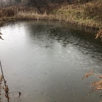 27 acres Hunting Land with Cabin and Pond in Clarksville NY images 2