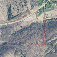 27 acres Hunting Land with Cabin and Pond in Clarksville NY images 4