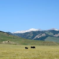 Bighorn Vista Ranch
