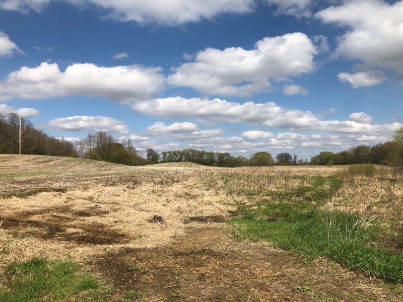 Columbia County Dairy Farm for Sale featured image