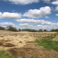 Columbia County Dairy Farm for Sale