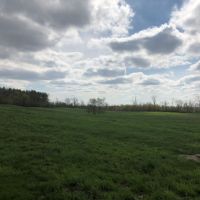 Columbia County Dairy Farm for Sale images 3