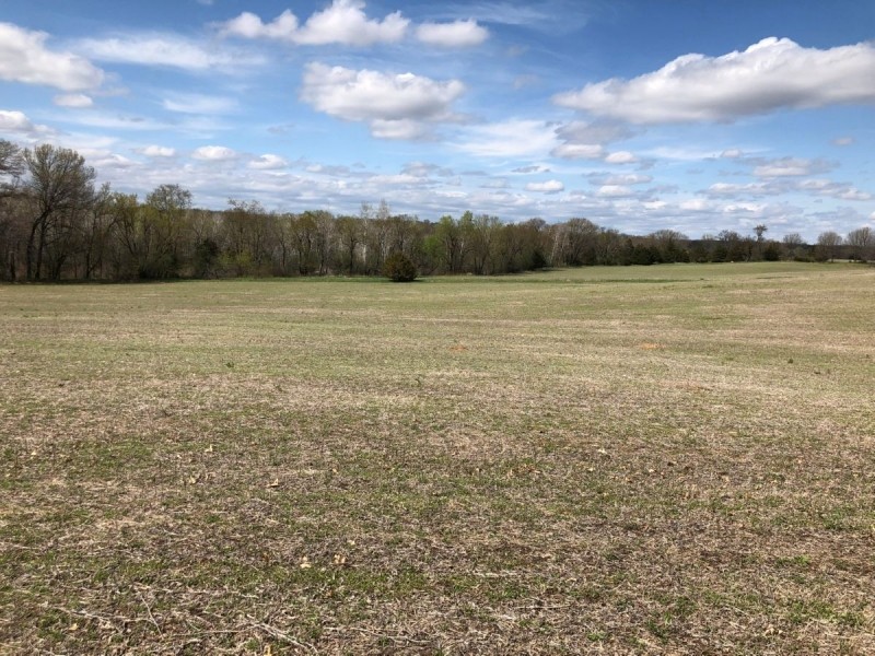 70.5 Acres Buildable  Tillable and Hunting Columbia County featured image