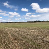 70.5 Acres Buildable  Tillable and Hunting Columbia County images 3