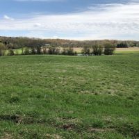 70.5 Acres Buildable  Tillable and Hunting Columbia County images 4