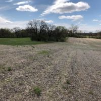 70.5 Acres Buildable  Tillable and Hunting Columbia County images 5