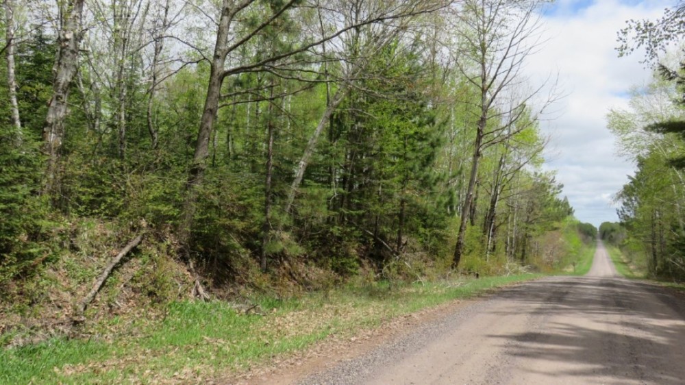 Buildable Recreational Property or Hunting Land Douglas County featured image