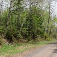Buildable Recreational Property or Hunting Land Douglas County