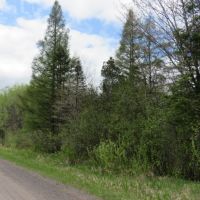 Buildable Recreational Property or Hunting Land Douglas County images 2