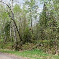 Buildable Recreational Property or Hunting Land Douglas County images 3
