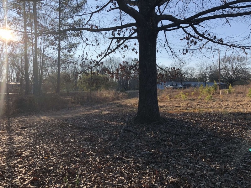 24 Acre Residential &nbsp; Recreational - Tract Airline Road featured image