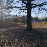 24 Acre Residential &nbsp; Recreational - Tract Airline Road