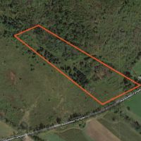 11 acres Secluded Woodlands Plainfield NY images 3