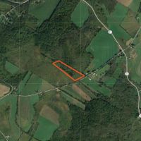 11 acres Secluded Woodlands Plainfield NY images 6