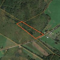 11 acres Secluded Woodlands Plainfield NY images 5
