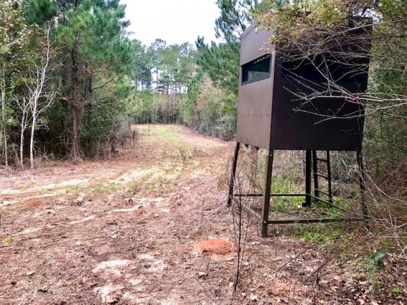 28 Acre Hunting Paradise in Tylertown  MS featured image