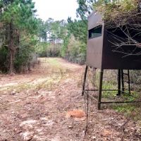 28 Acre Hunting Paradise in Tylertown  MS