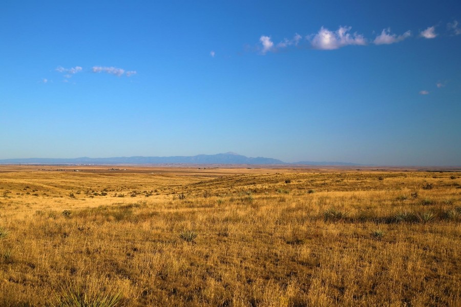 BX Ranch featured image
