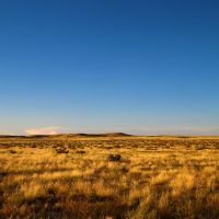 BX Ranch images 2