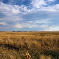 BX Ranch images 3