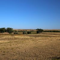 BX Ranch images 4