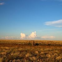 BX Ranch images 6