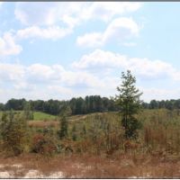 60 Acres in Newton County in Little Rock  MS