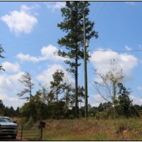 60 Acres in Newton County in Little Rock  MS images 2