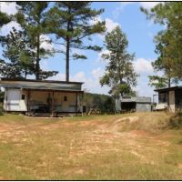 60 Acres in Newton County in Little Rock  MS images 3