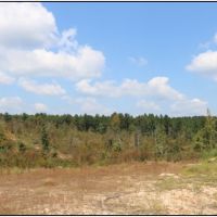 60 Acres in Newton County in Little Rock  MS images 4