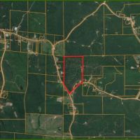 60 Acres in Newton County in Little Rock  MS images 6