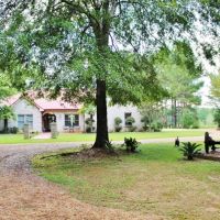 3 Bed  2 Bath Home  39.72 Acres  Lake  NPSD  Summit  MS images 3