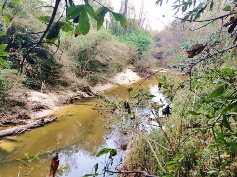 Hunting Recreation Development Land for Sale Harrrison Co MS featured image