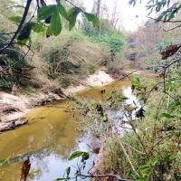 Hunting Recreation Development Land for Sale Harrrison Co MS images 1